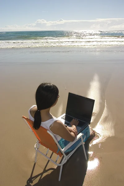 Working at the beach Stock Image