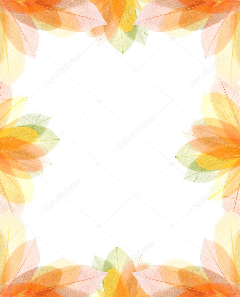 Transparent autumn leaves frame