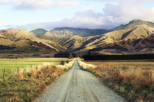 Road-trip à NZ — Photo