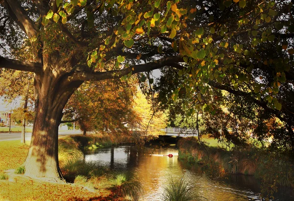 stock image River in Autumn