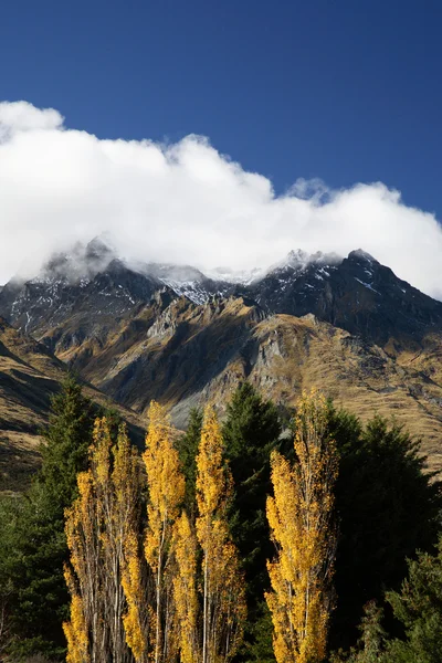 NZ na podzim — Stock fotografie