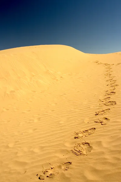 stock image Footsteps in the desert