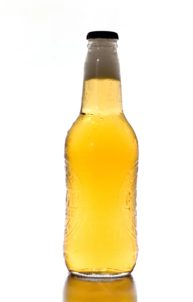 Uma garrafa de cerveja — Fotografia de Stock