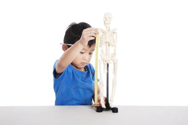 Rapaz aprende anatomia humana — Fotografia de Stock