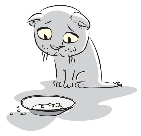 空腹の子猫 — ストックベクタ