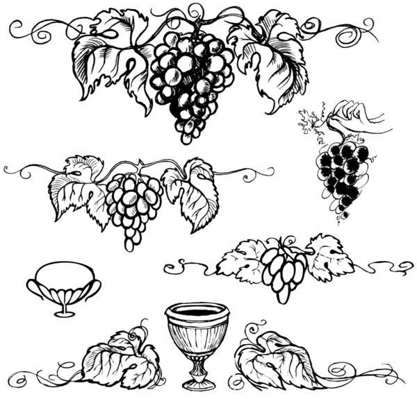 Vector illustration grapes — Stockvector