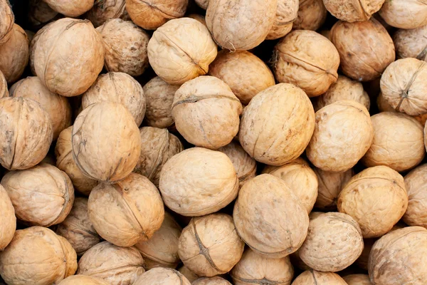 Closeup of a walnuts — Stock Photo, Image