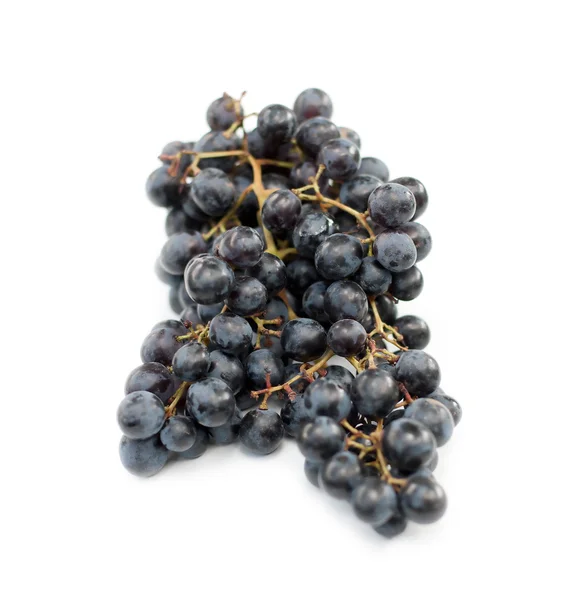 Uvas pretas isoladas sobre fundo branco — Fotografia de Stock
