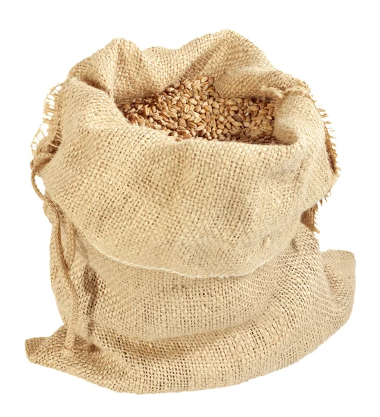 Мешок зерна — стоковое фото