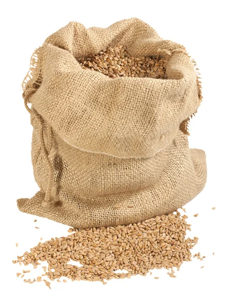 Sack of wheat grains — Stock Photo, Image