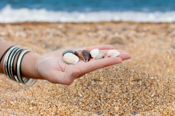 stock image Hands with sea shells