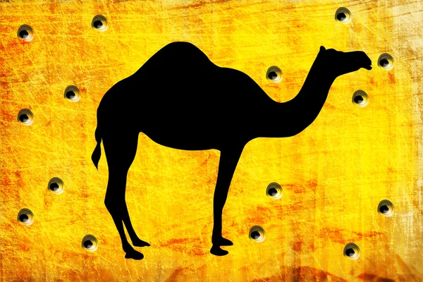 Hole from shoot on the wall with camel — Stock Photo, Image