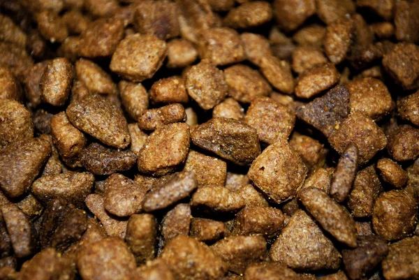 stock image Dog food