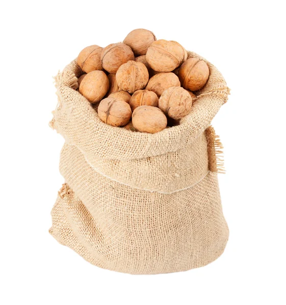 Burlap sack full of whole walnuts isolated on white background — Stock Photo, Image