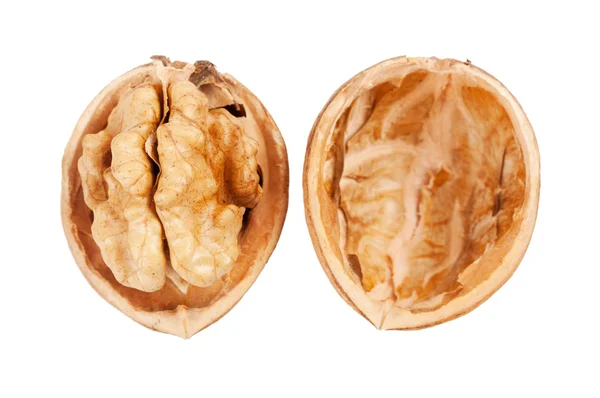 Крупный план грецкого ореха — стоковое фото