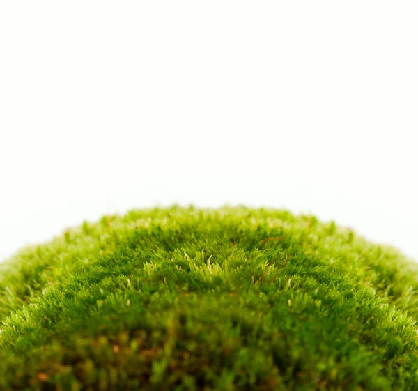 新鮮な春の緑の草の背景白に隔離 — ストック写真