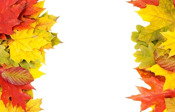 Höstens ram från bladen — Stockfoto