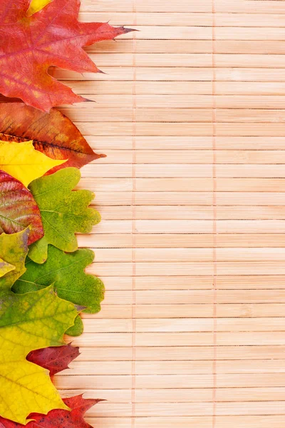 Höstens ram från bladen — Stockfoto