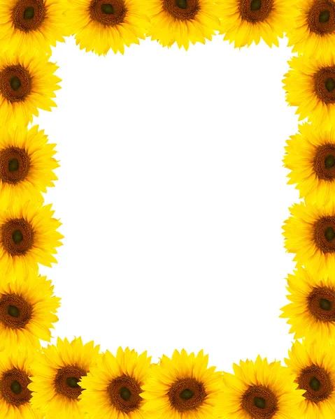 stock image Sunflower frame