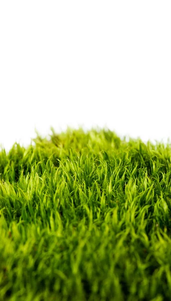 stock image Backgrounds of fresh spring green grass Isolated On White