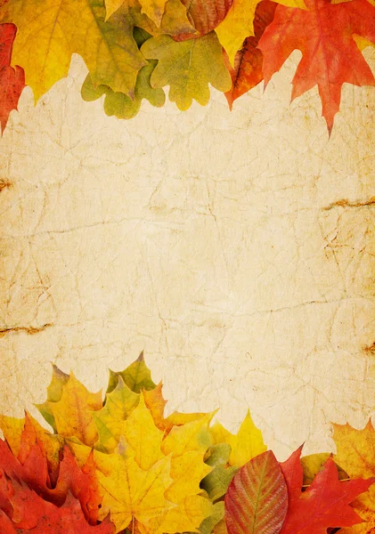 Το φθινόπωρο τα φύλλα σε ένα παλιό χαρτί — Φωτογραφία Αρχείου