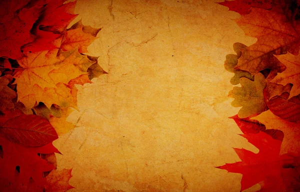葉からの秋のフレーム — ストック写真