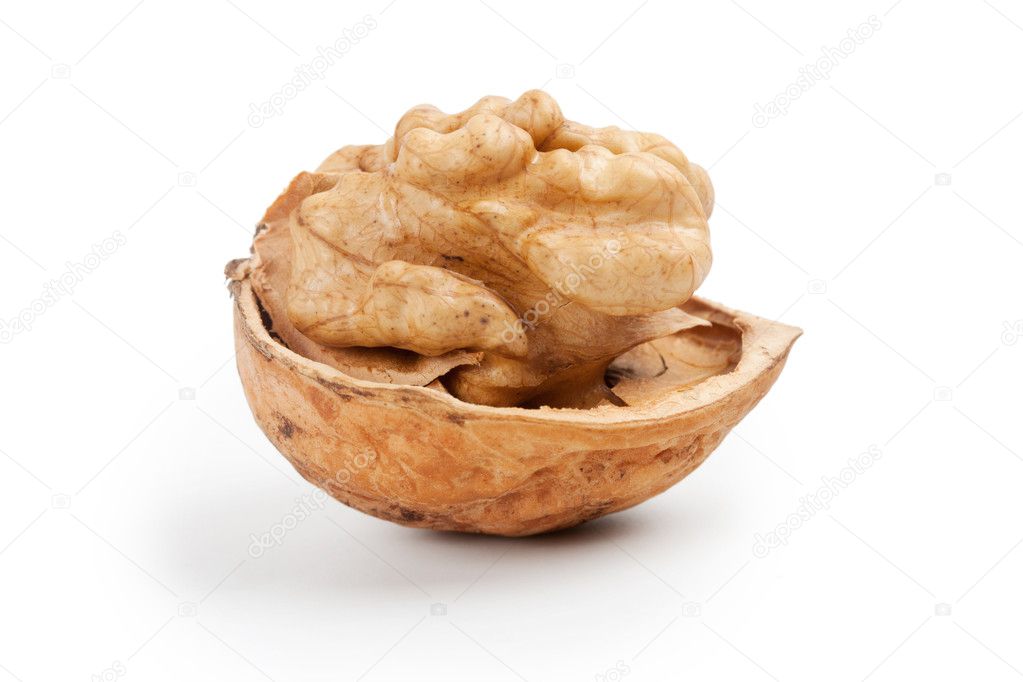 One walnut isolated on a white