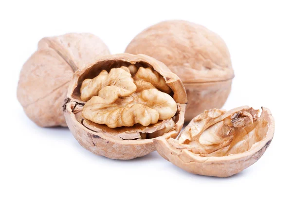 Closeup of a walnut isolated on white background — Stock Photo, Image