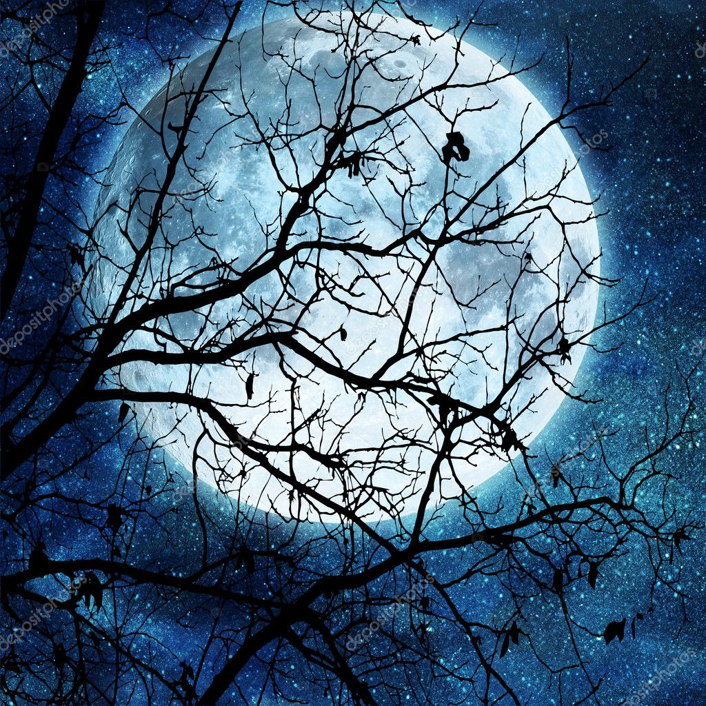 Tree branches against full moon — Stock Photo © denisovd #7556812