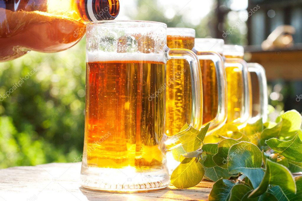 разливное пиво. лопата для рассады. полить цветы пивом комнатные. системы полива. дождевая система поливания.