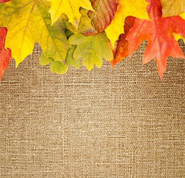 Autumn frame on canvas background clipart