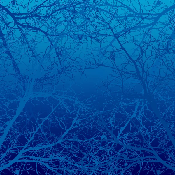 Talvi tausta puita — kuvapankkivalokuva