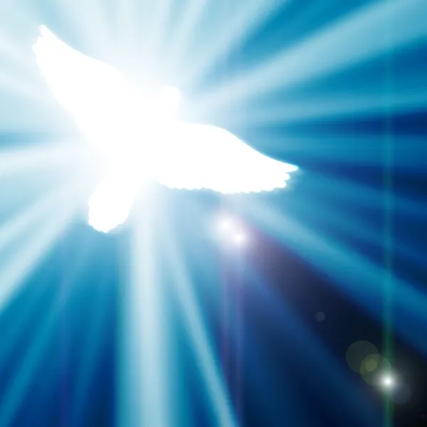 นกพิราบที่ส่องแสงบนพื้นหลังสีฟ้า — ภาพถ่ายสต็อก