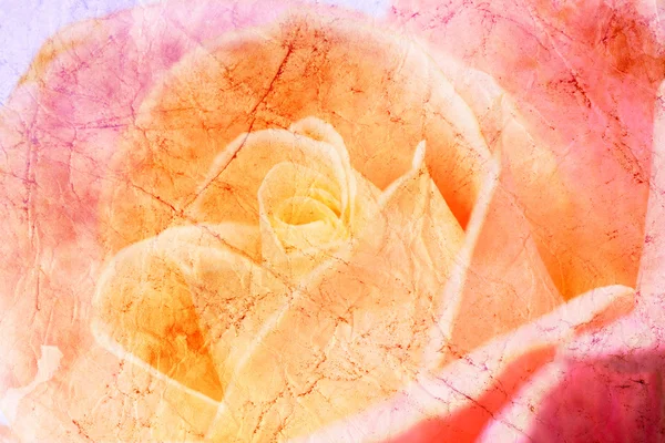 グランジ rosees 背景 — ストック写真