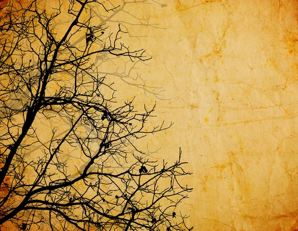 Винтажный фон с ветвями деревьев — стоковое фото