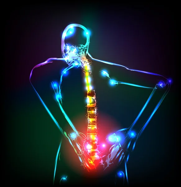 Human backbone in x-ray — Stock Vector