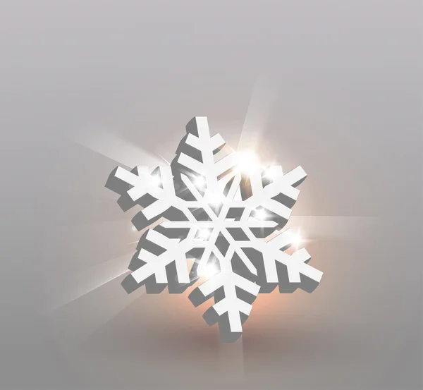 Snowflake concept — Stock Vector