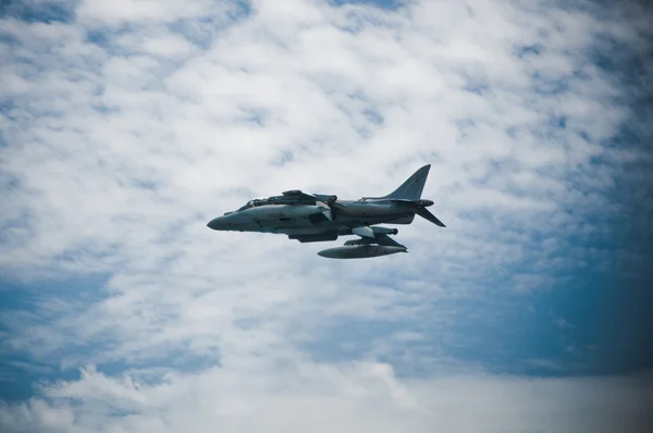 Sea Harrier — Zdjęcie stockowe