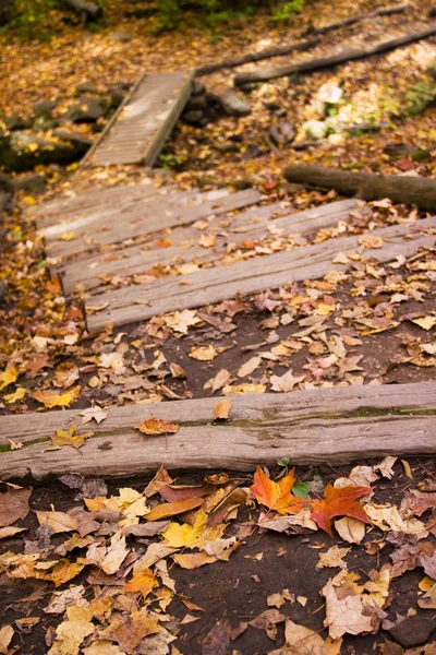 Herbstfarben auf der Spur — Stockfoto