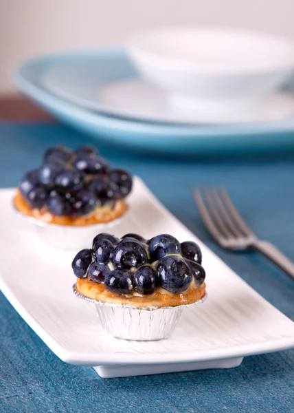 stock image Blueberry Custard Tart
