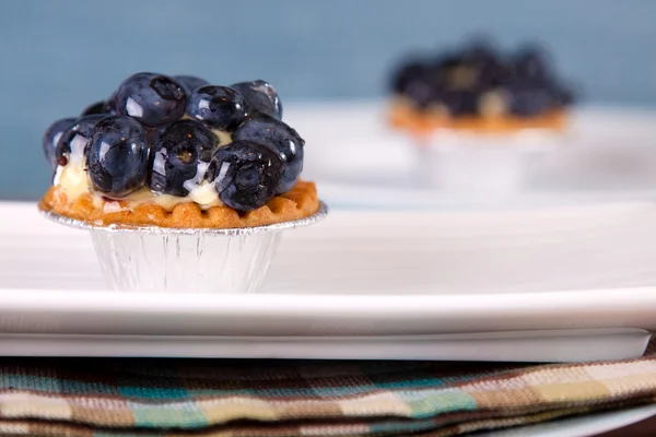 Stock image Blueberry Custard Tart