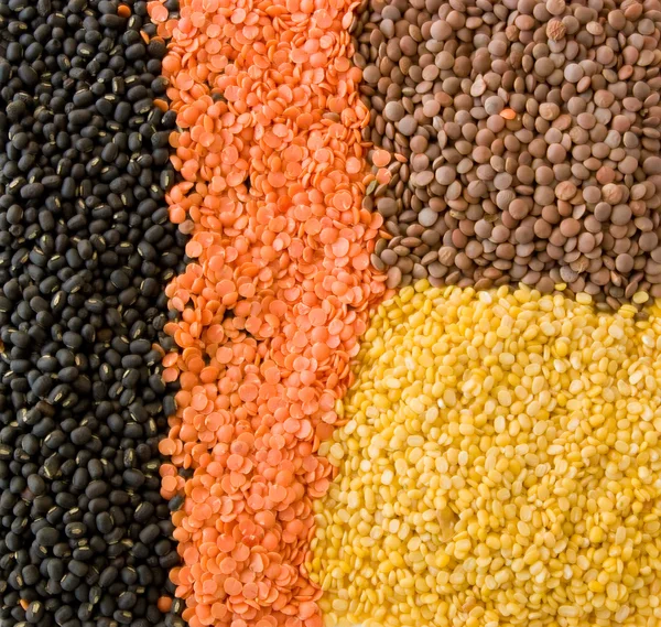 Indian Food - Lentils Stock Picture
