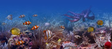 Underwater world clipart