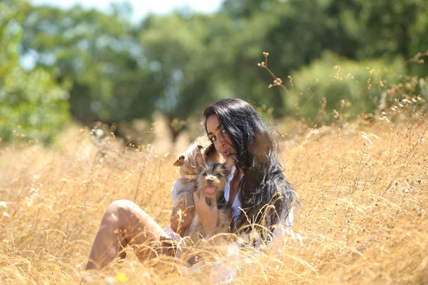 Beautiful brunette in a field of straw with two yorkshire dogs — Stock Photo, Image