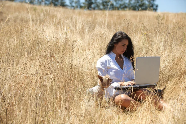 Όμορφη γυναίκα που εργάζεται σε ένα φορητό υπολογιστή στη μέση ενός χωραφιού — Φωτογραφία Αρχείου