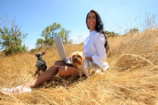 Beautiful woman working on a laptop in the middle of a field with dogs — Stock Photo, Image
