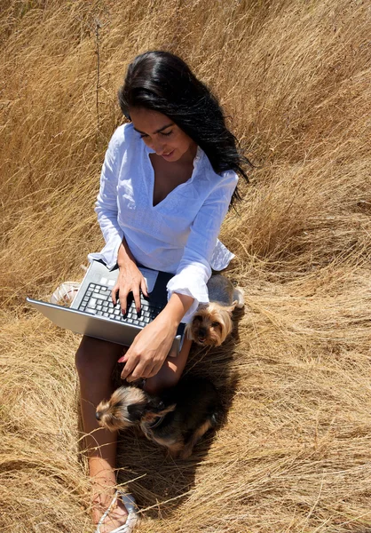 Bella donna che lavora su un computer portatile nel bel mezzo di un campo con i cani — Foto Stock