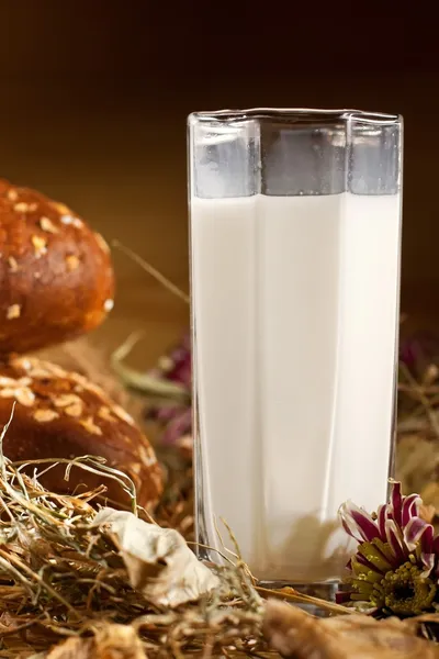 Glass og milk wirh bread — Stock Photo, Image