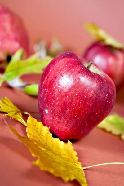 Maçãs vermelhas frescas com folhas de outono — Fotografia de Stock
