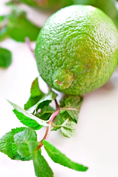 Lime fruit — Stock Photo, Image